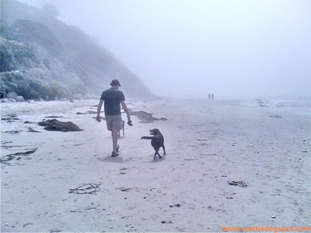 Dylan and I walk into the mist. Photo from Seattle DogSpot.