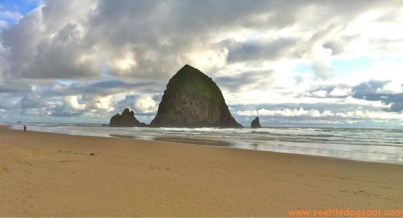 Dog Friendly Canon Beach