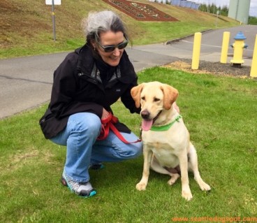 Did I mention she was completely focused on a tennis ball? Photo from Seattle DogSpot.