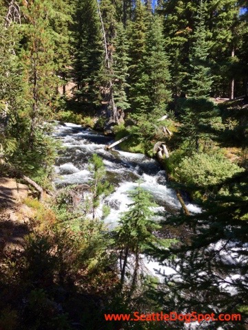 dog friendly Bend, OR