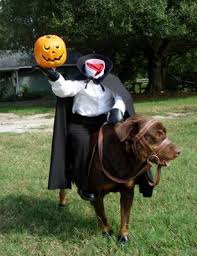 Headless Horseman Dog Costume