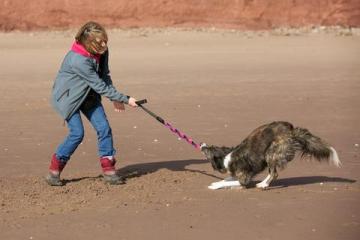 Change Monologue with Your Dog to a Dialogue